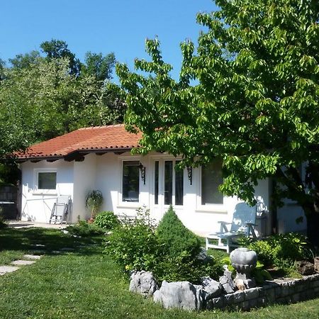 Holiday Home Slavi Vipava Exterior photo