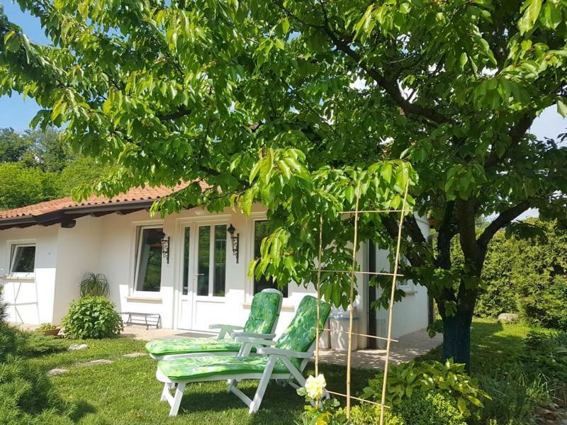 Holiday Home Slavi Vipava Exterior photo